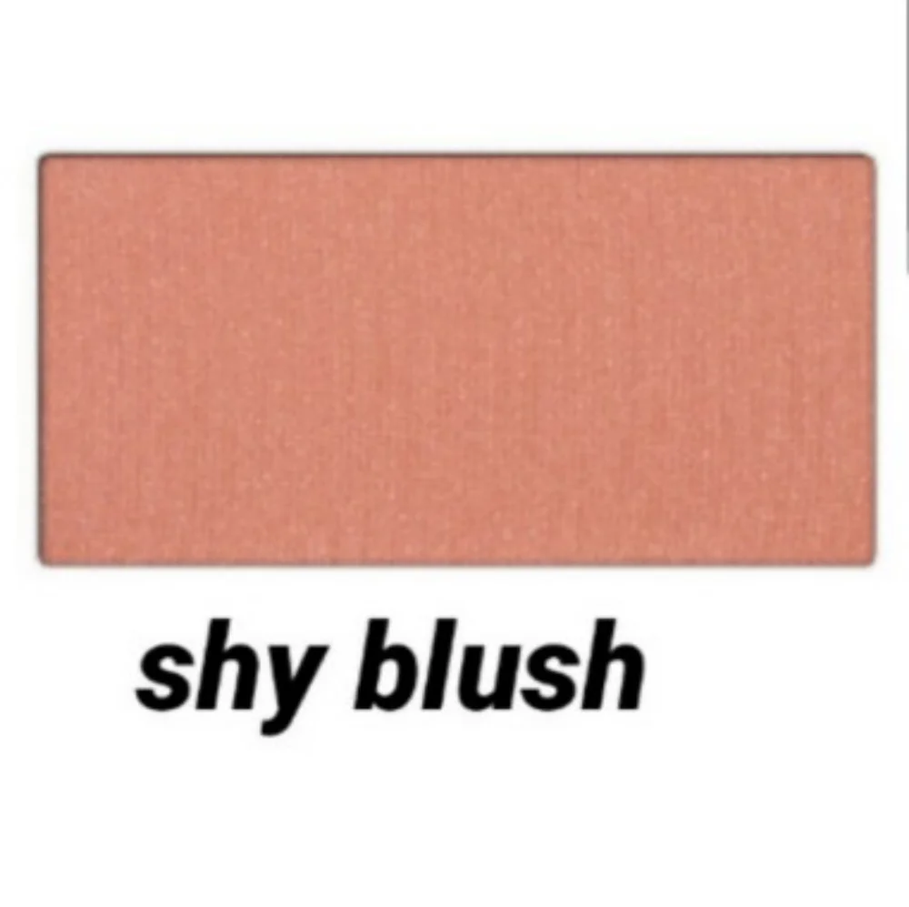 Mary Kay Shy Blush Mineral Cheek Color Powder Metal Casing Magnetic Rouge Makeup